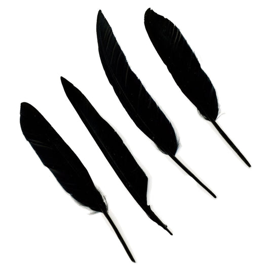 Decorative Large Black Feather Garland