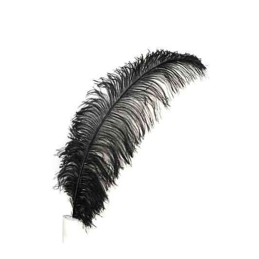 Ostrich Floss Feather Fan - Natural Tonals