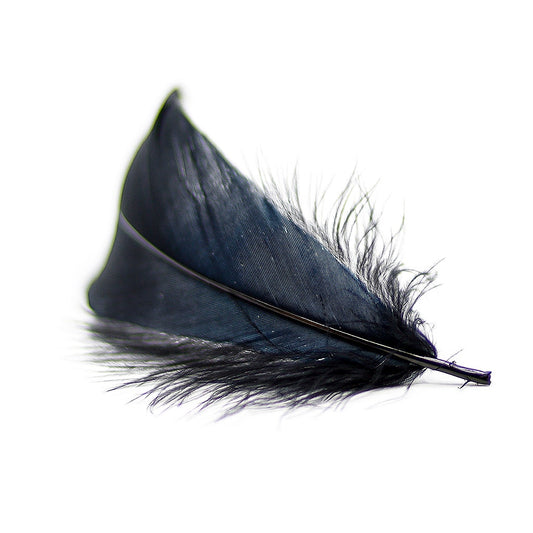Goose Nagorie Feathers Dyed - White