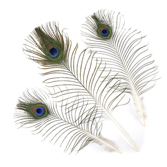 Silver Pheasant Tail Feathers - Natural - 8 - 12