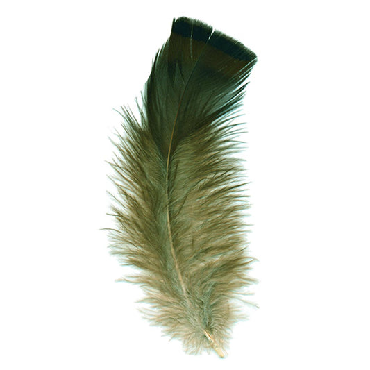 Premium Turkey Tail Feather – Natural