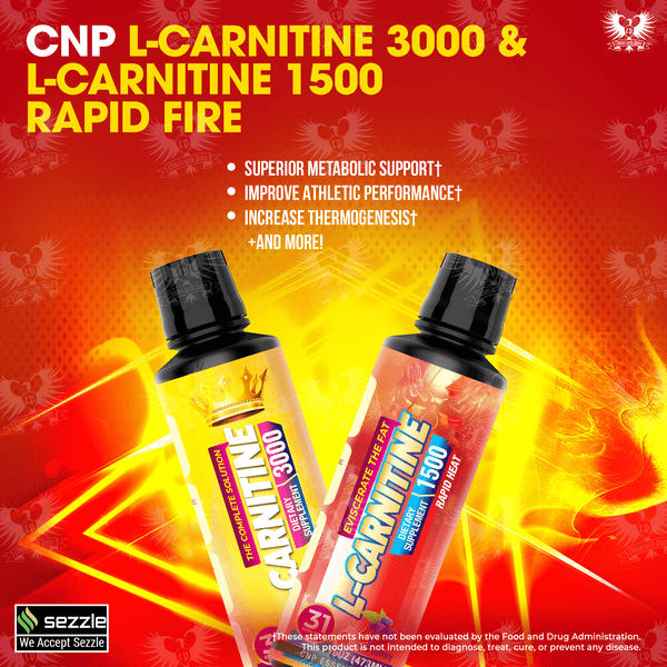 3000 L-CARNITINE FAT BURNER