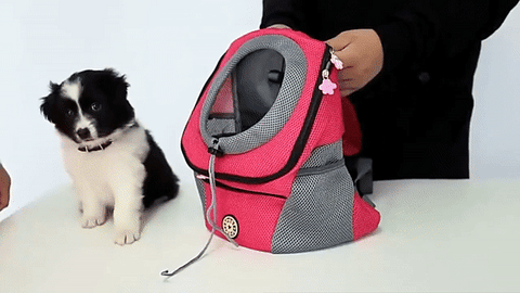 Premium Pet Carrier Backpack™ – splurgewell