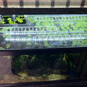 Clear Lid for Aqueon® Tanks All Sizes - Walter Lids - 10 Gallon Fish Tank Lid