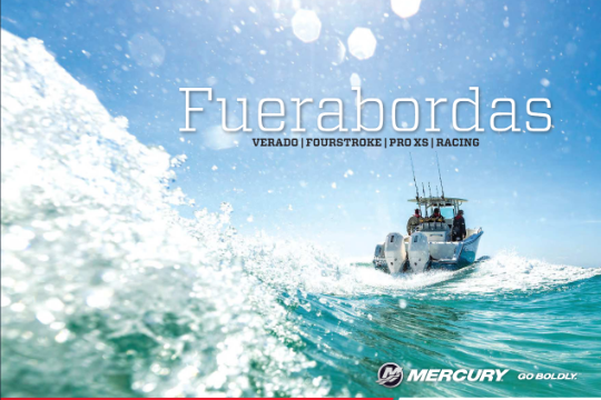 Motores MERCURY Fuera de Borda