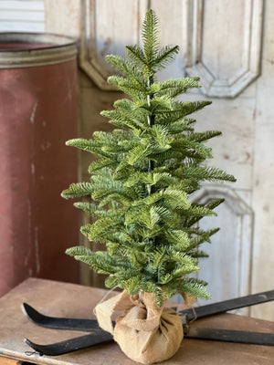 Shetland Spruce Tree 32 Inch - Farmhouse Style
