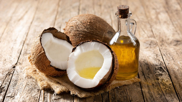 The Power of Coconut Oil for Dogs 