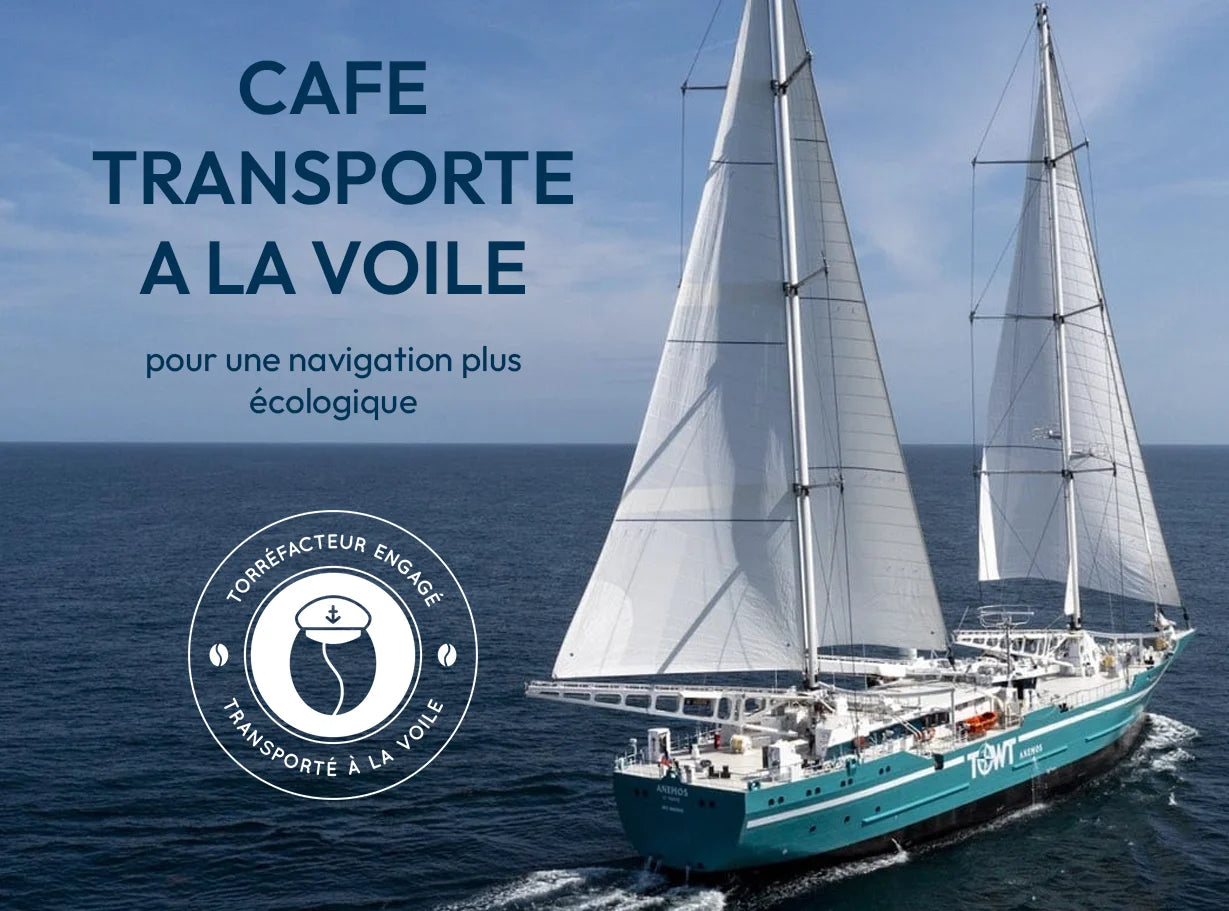 café en grain transporté à la voile