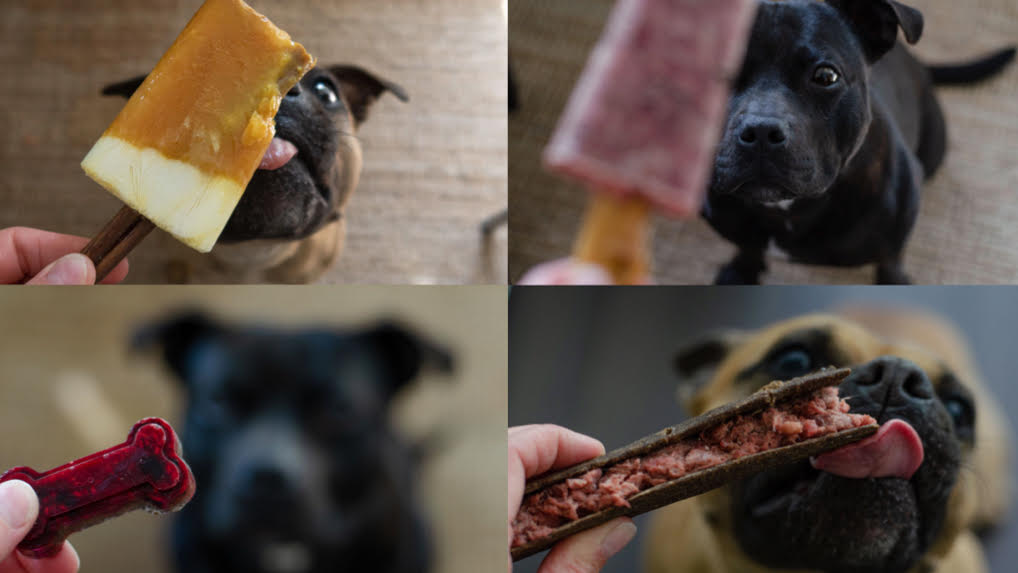 Recept: gezonde, natuurlijke ijsjes voor de hond