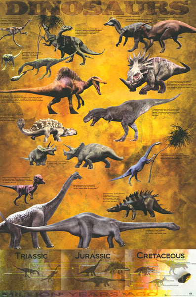 Dinosaurs Education Poster 24x36 – BananaRoad