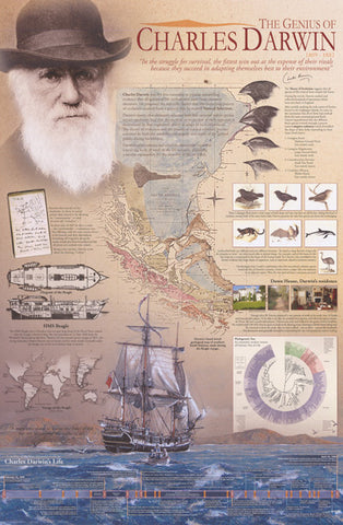 what is charles darwin theory of evolution all about