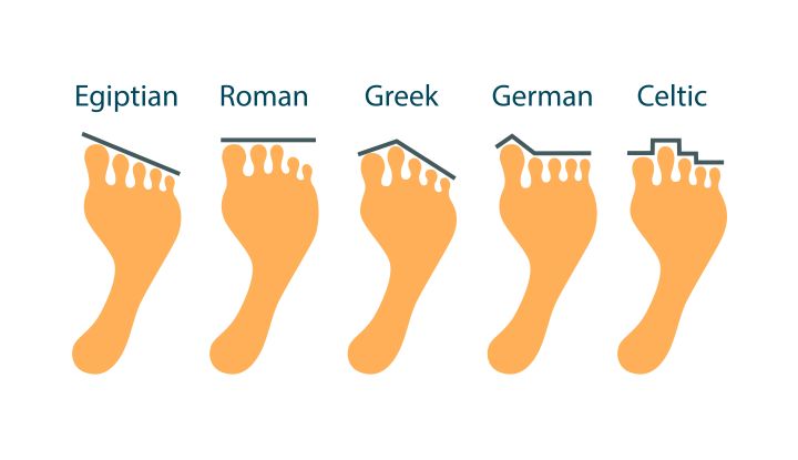 Feet anatomy types