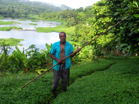 Boca Mole ist ein Kakaoarbeiter auf der Fazenda Pura Vida und kümmert sich um die Ernte und die Trocknung der Kakaobohnen