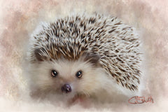 Hedgehog- ‘Sending You A Hedgehug’