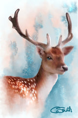 Deer - ‘Good Morning Deer’