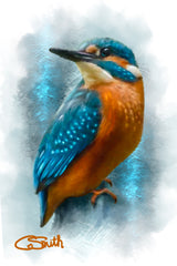 Kingfisher - ‘Going Fishing’