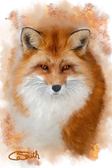 Fox - ‘Bright Eyed & Bushy Tailed’