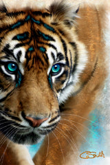Tiger ‘Look Deeply Into My Eyes’