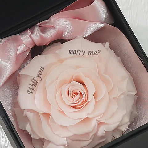 Will you marry me?とメッセージが入ったピンクのバラ