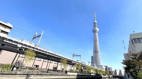 青空にそびえるスカイツリーを見上げる風景