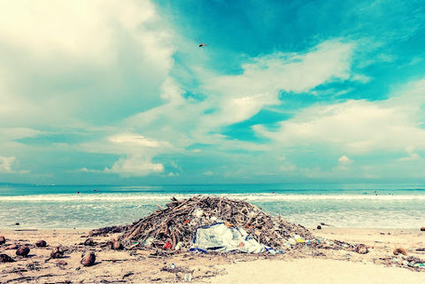 ocean sole trash collection on beach