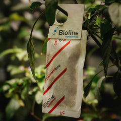 Bioline Spidermite Predator Sachets Close up