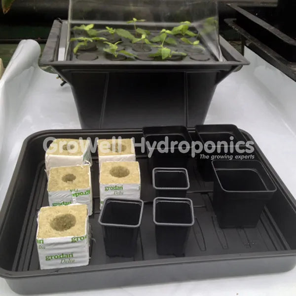 Aeroponic Propagating