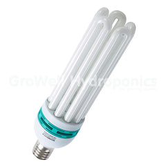 CFL (Compact Fluorescent Lamps)