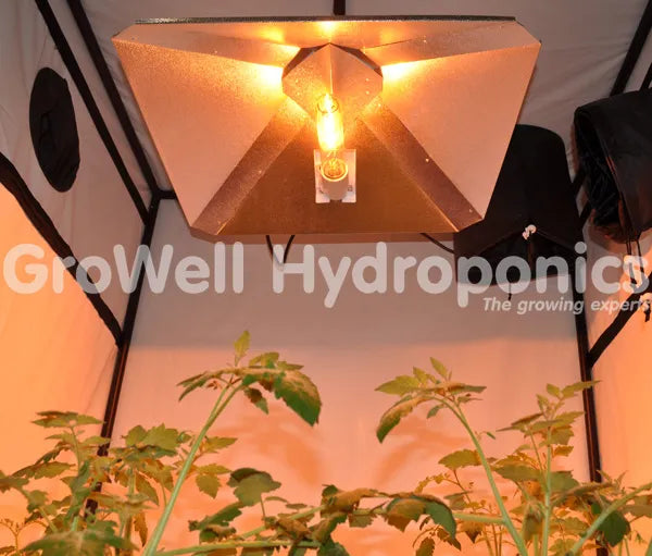 Grow Light