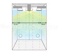 Ideal Layout 2