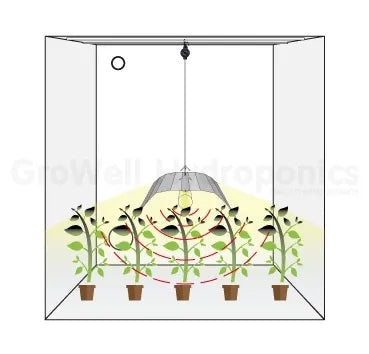 Hanging Heights Lamps