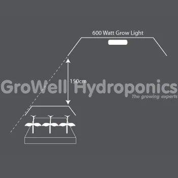 600W Lamp for Propagation