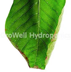 nutrient