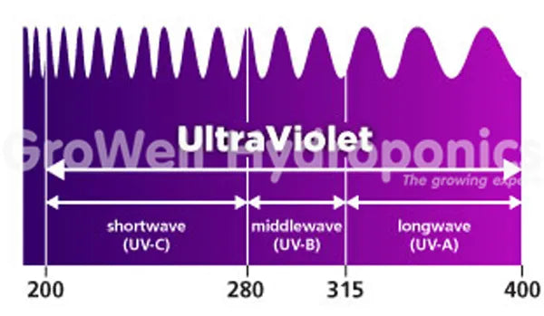 UV Wavelengths