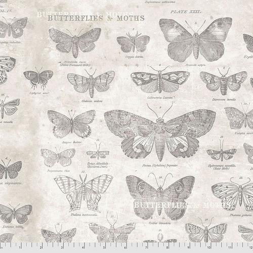 Tim Holtz Butterflies Parchment