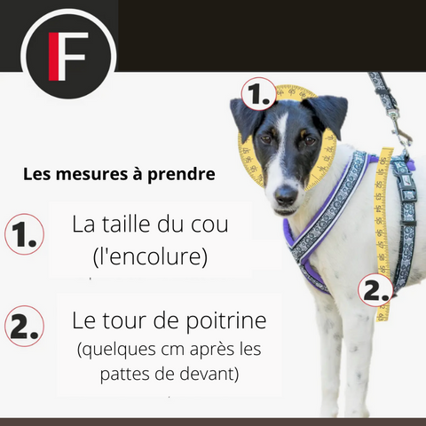 Harnais en Y FINNERO pour chien (destockage)