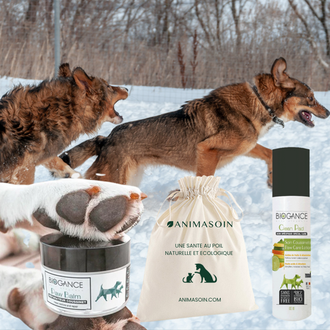 coffret soin coussinet sec chien