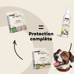 anti tiques pour chiens aux huiles essentielles