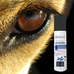 lotion naturelle yeux chiens chats