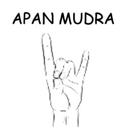 Apan Mudra - Science of Hand Mudra