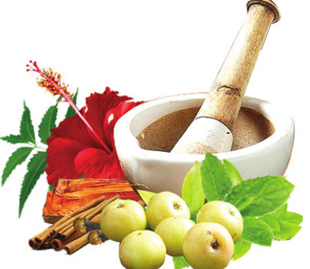 Ayurveda herbal medicines