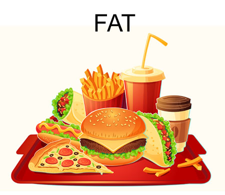 FAT FOOD