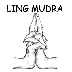 Ling Mudra - Science of Hand Mudra