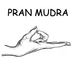 Pran Mudra - Science of Hand Mudra