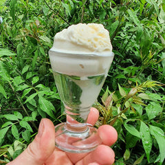 the penny licks glass for ice cream