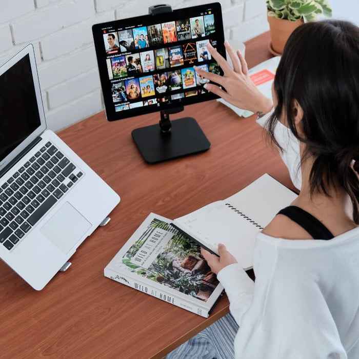 stance executive dual motor standing desk