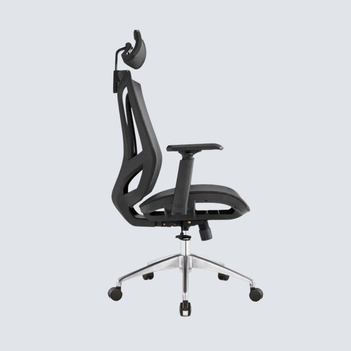 Cradle Pro Ergonomic Office Chair — stancephilippines