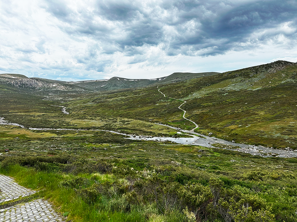 alpine treking k7 adventures thredbo le noeud papillon