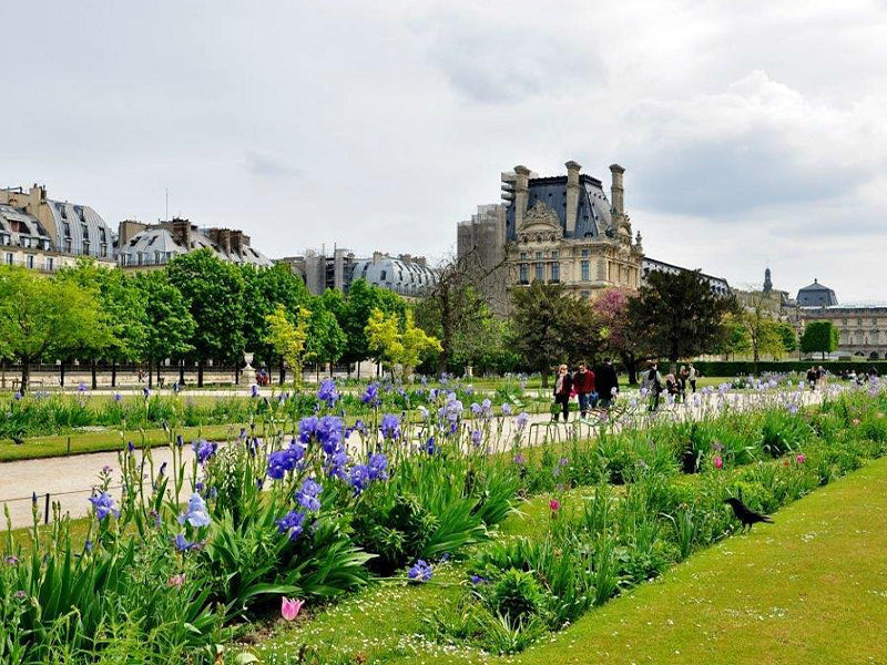 Allée fleurie jardin des Tuileries