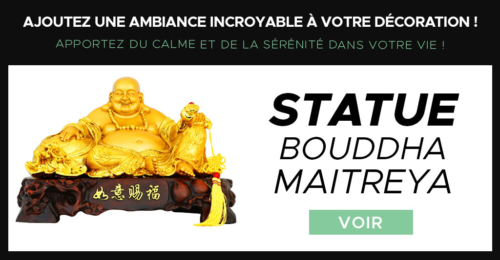 Statue Bouddha Maitre Ya